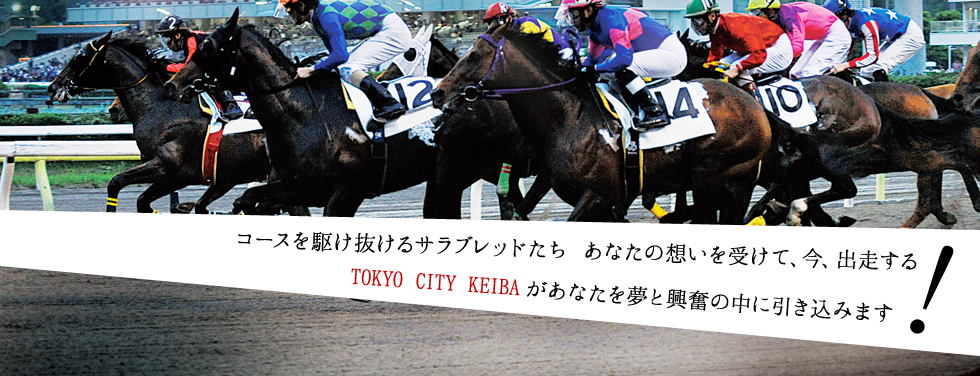 コースを駆け抜けるサラブレッドたち あなたの想いを受けて、今、出走する　TOKYO CITY KEIBAがあなたを夢と興奮の中に引き込みます！
